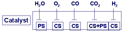 High Flow Nitrogen Purification (without CH<SUB>4</SUB> removal)